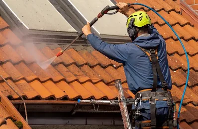 Démoussage et hydrofuge de toiture à Sainte-Brigitte